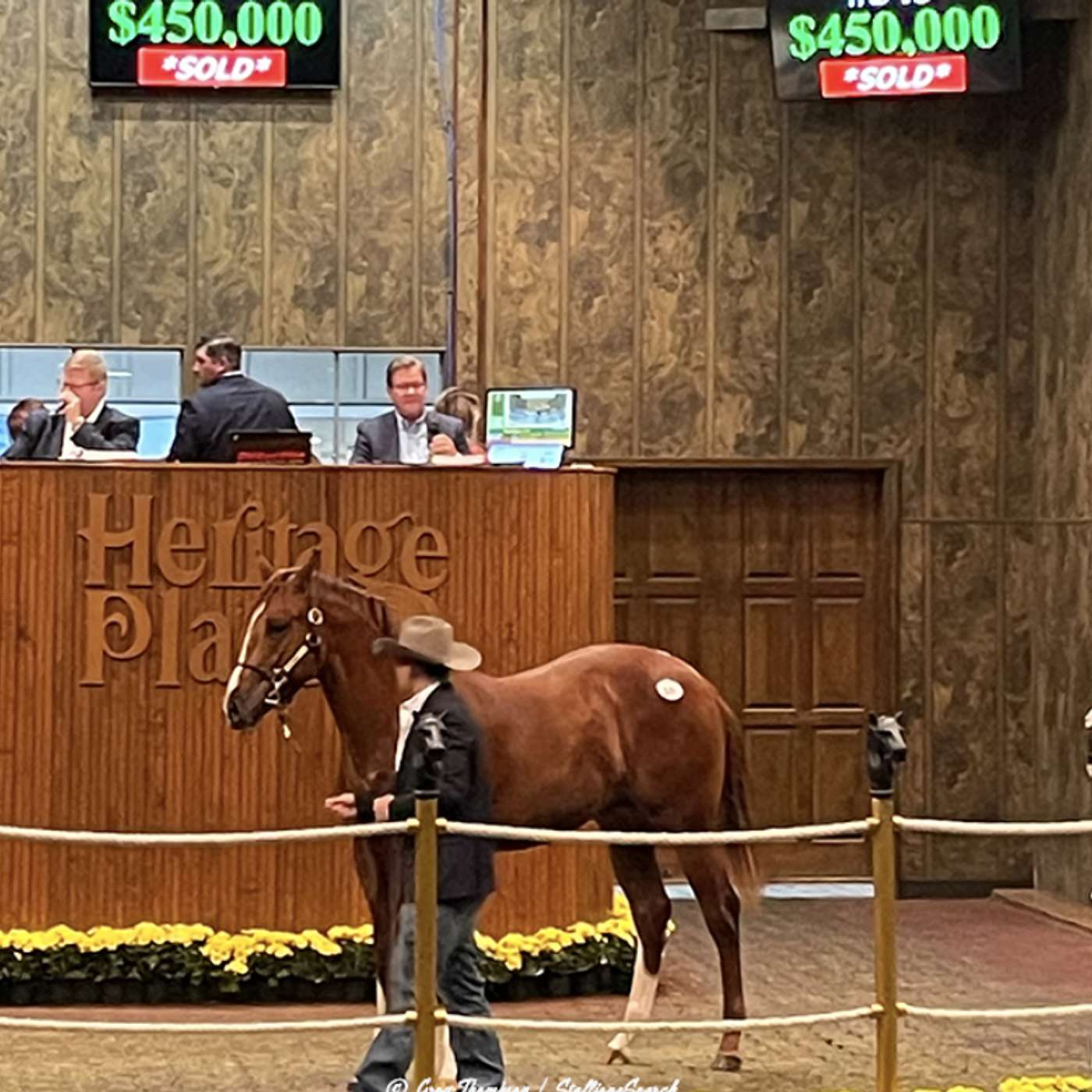 StallioneSearch Podcasts