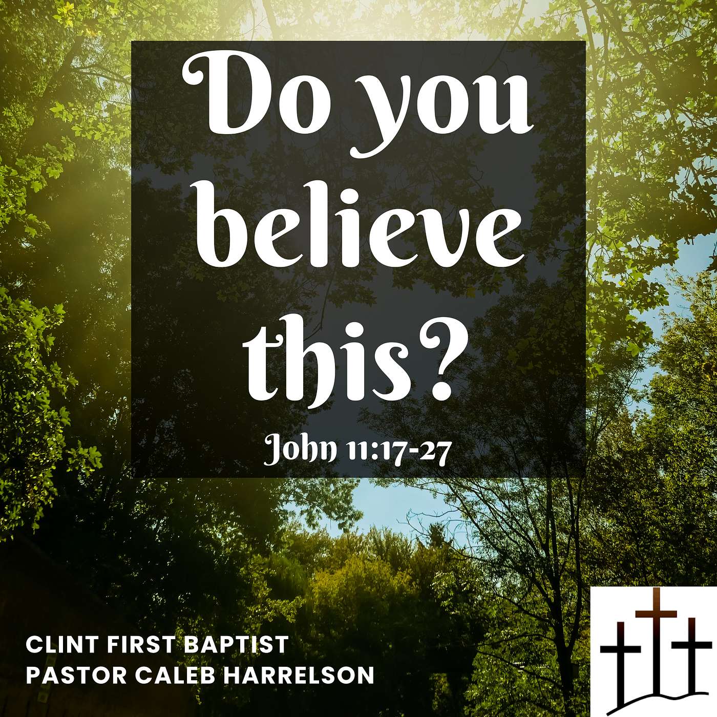 Do you believe this? (John 11:17-27)