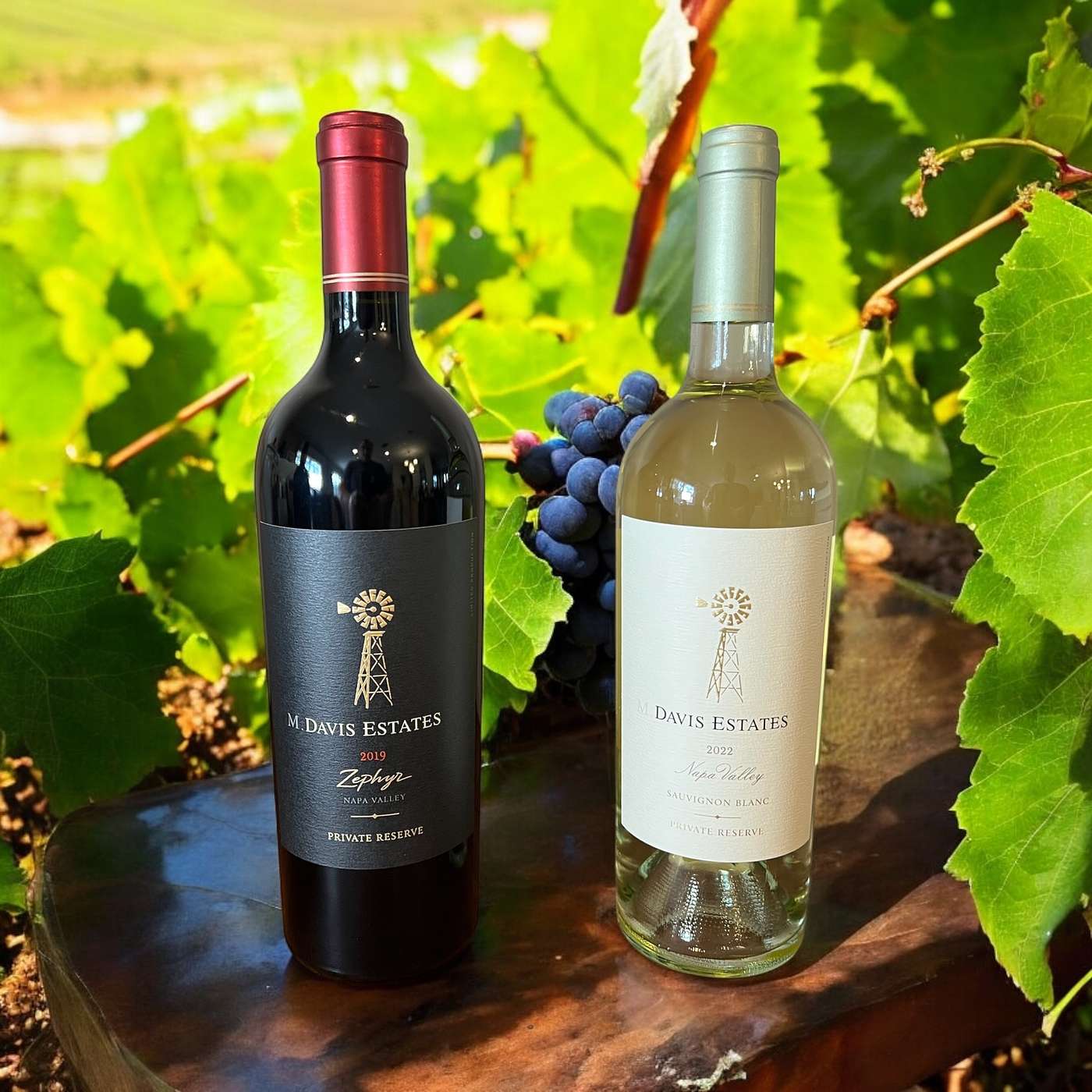 Engage Phase V now PROMO