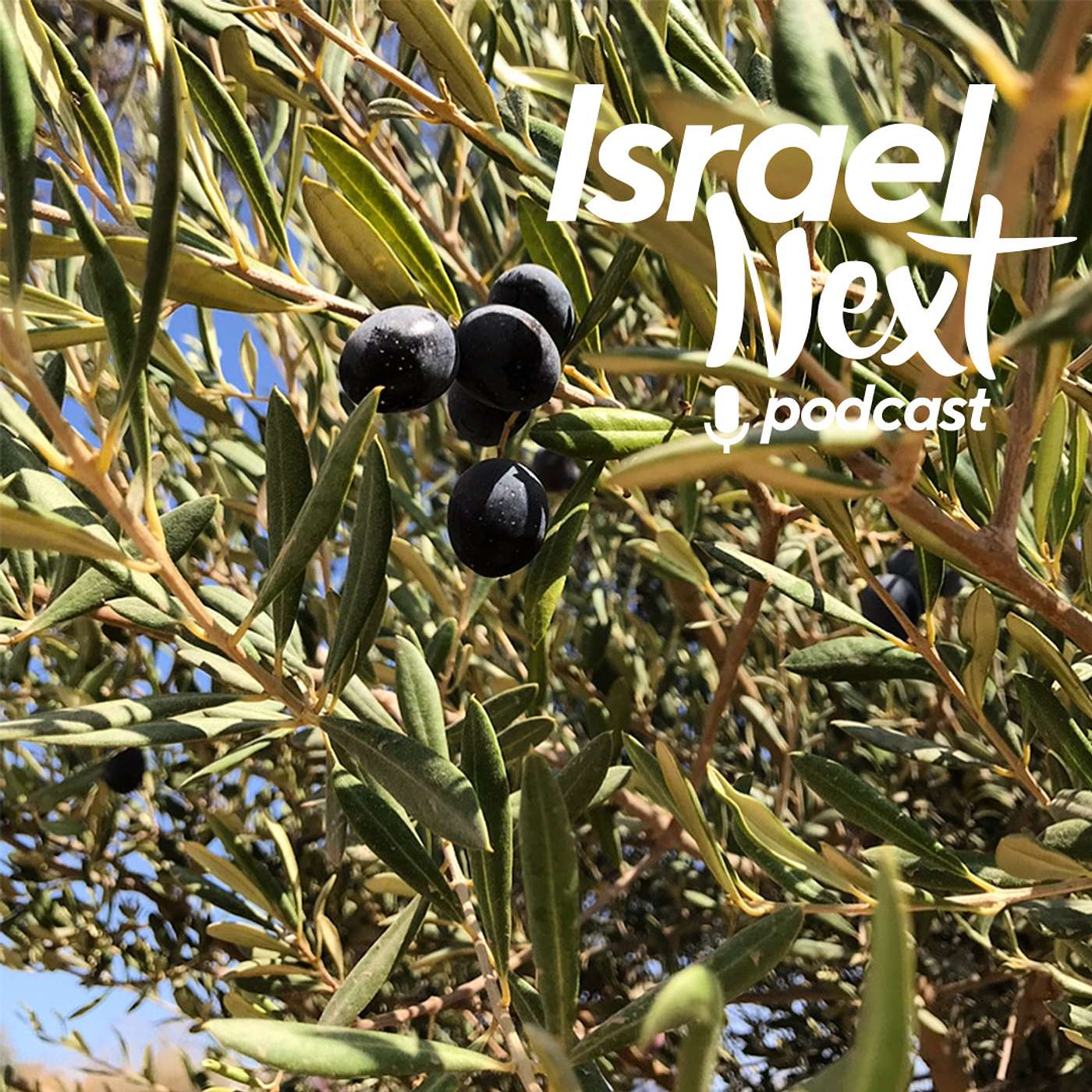 Israel Matters, and the Search for Truth - ENGLISH