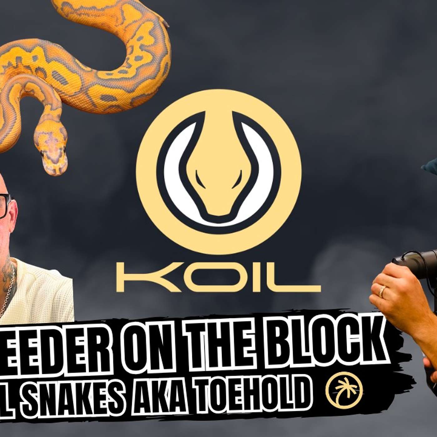 How To Buy Ball Pythons In 2025 | New Breeder On The Block Live