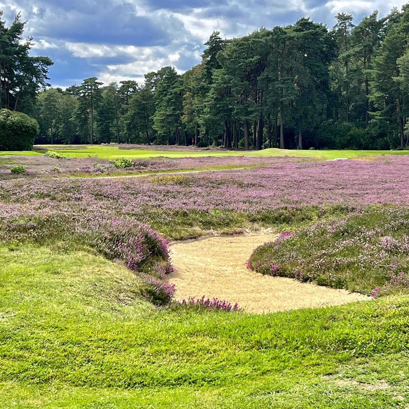 New Zealand GC, Surrey, England