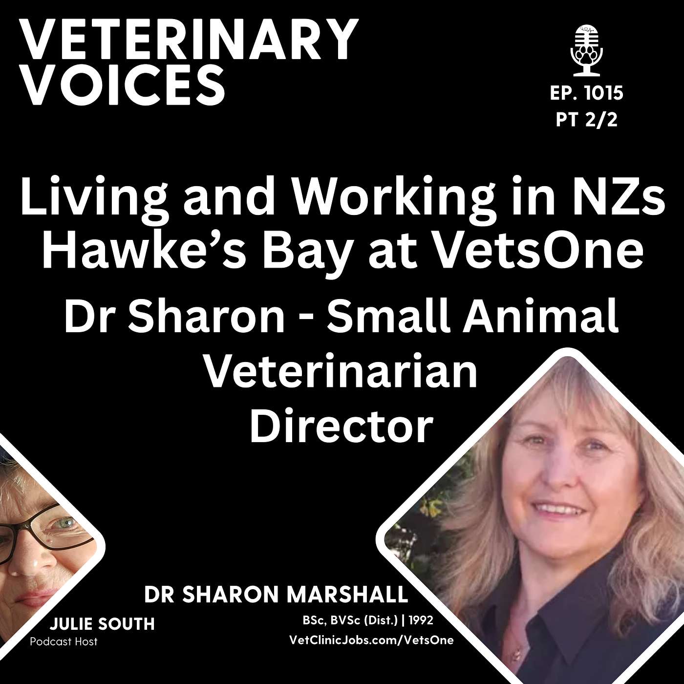 Vet Clinic Employer of Choice: VetsOne Hawke's Bay - Dr Sharon Marshall - Veterinarian and Director - pt 2/2 - 1015