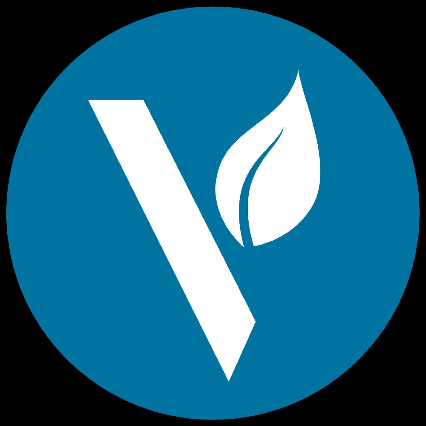 Vineyard Church - Virginia Beach, VA podcast artwork