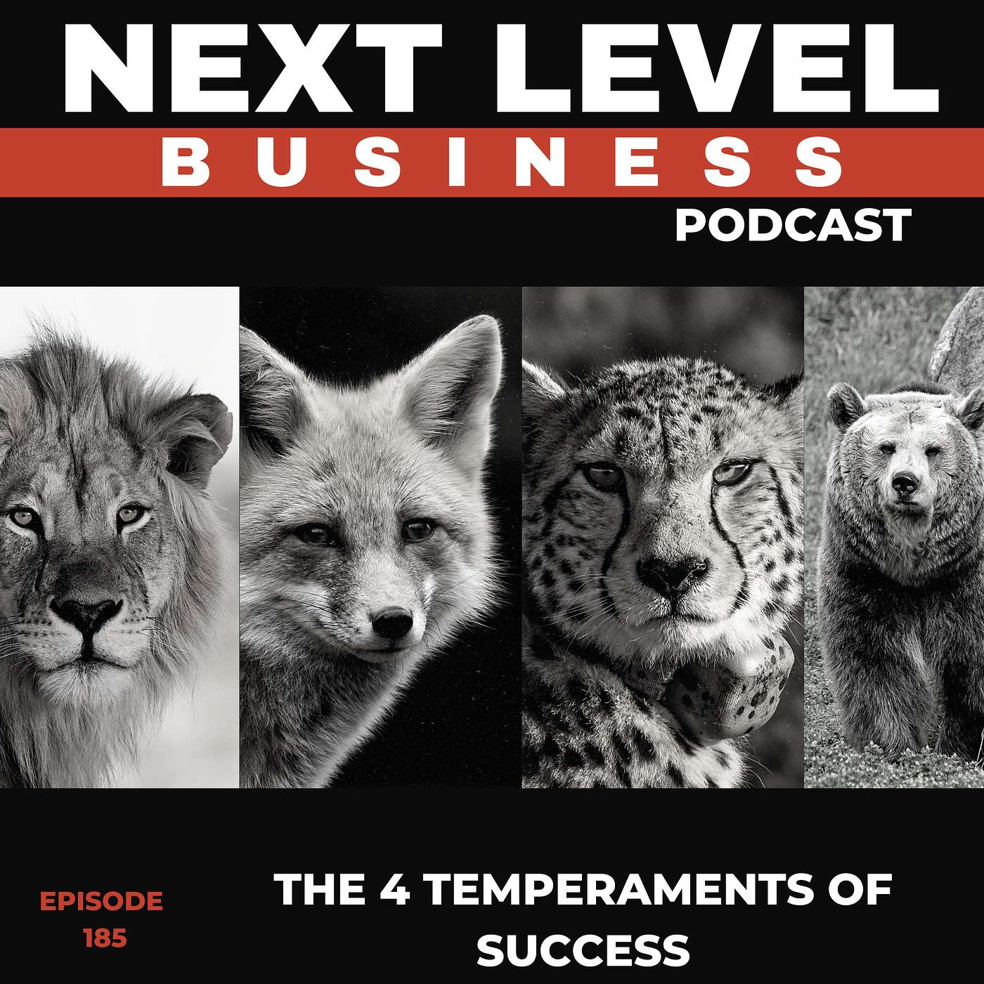 The 4 Temperaments of Success