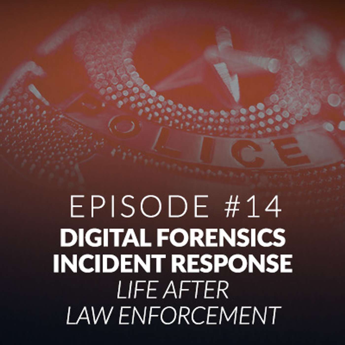 Season 1 - Ep. 14: DFIR Life after Law Enforcement