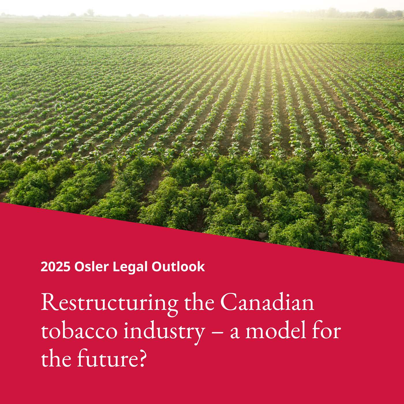 Osler Legal Outlook
