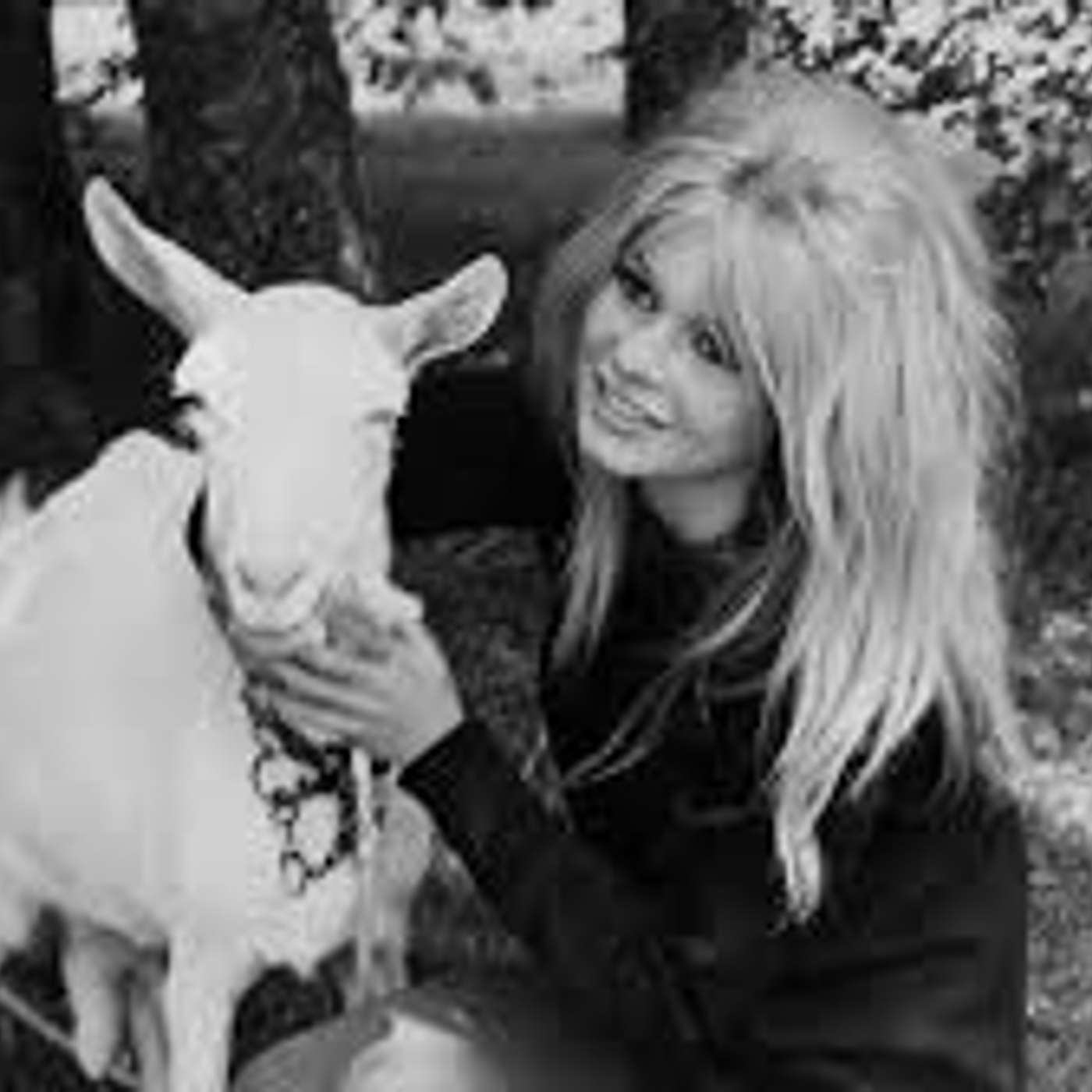 Tributo a Brigitte Bardot Gli animali che ti cambiano la vita Tributo a Brigitte Bardot Gli animali che ti cambiano la vita