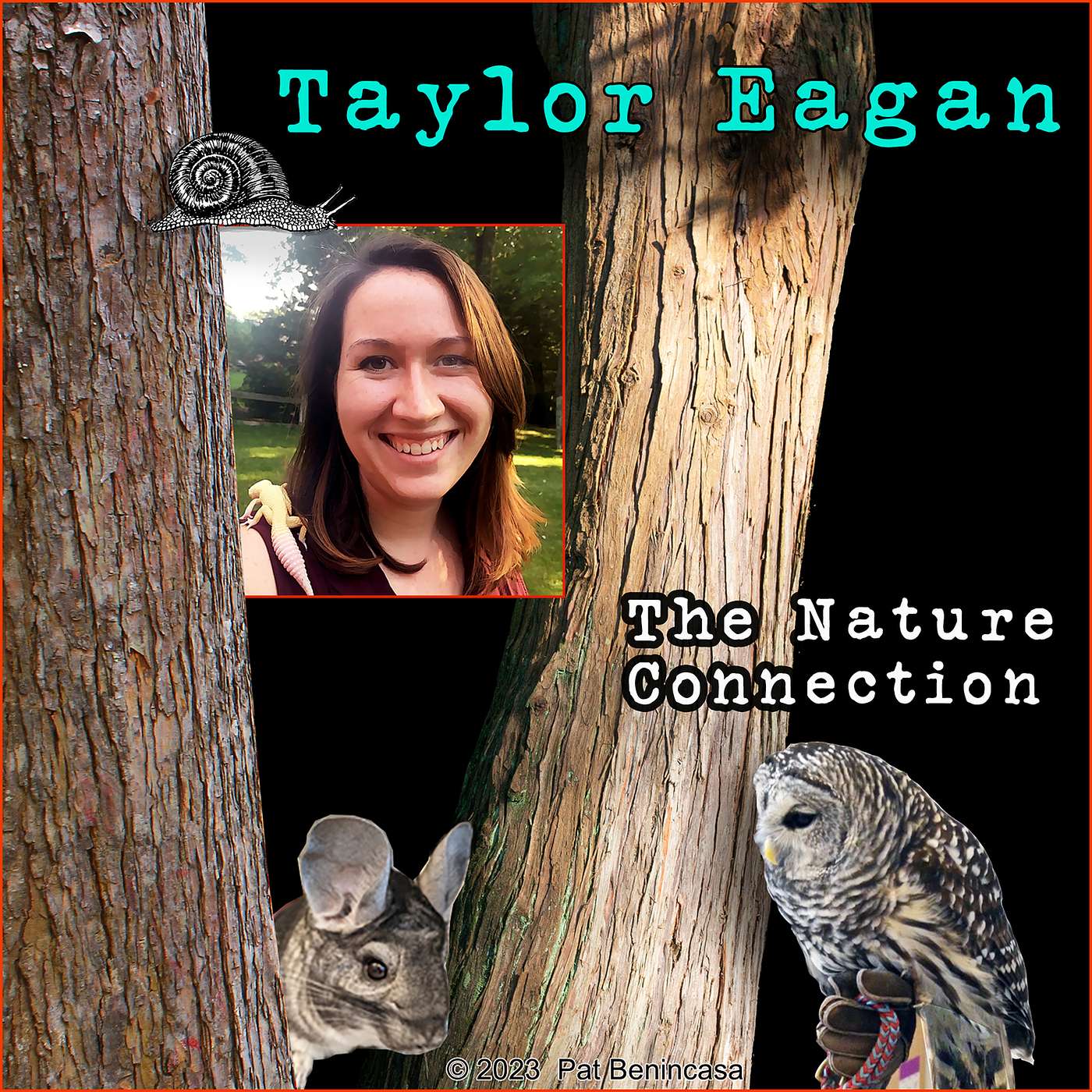 Bringing The Outside Inside: Nature’s Path to Healing