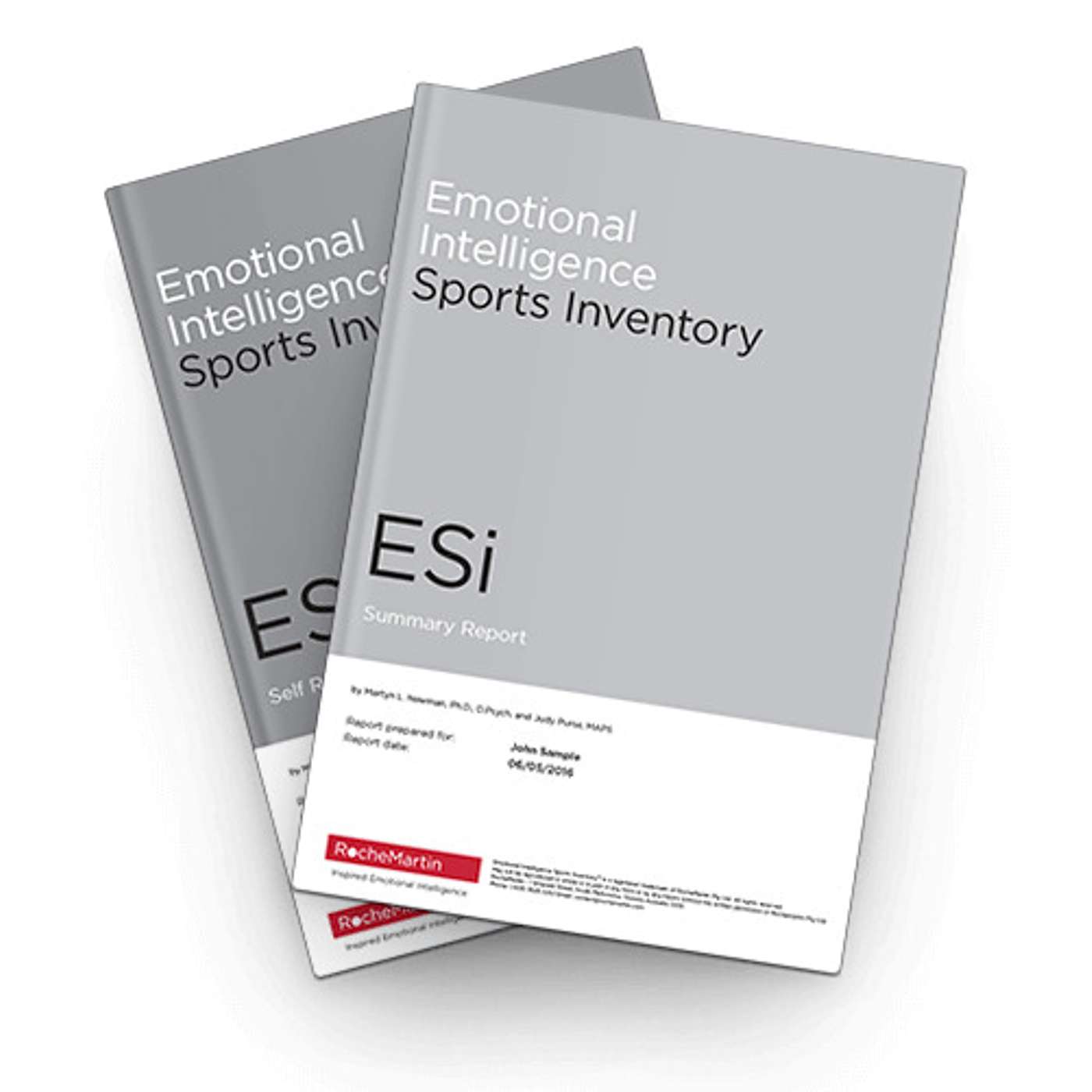 Emotional Intelligence - Dr Martyn Newman and the RocheMartin team share their insight