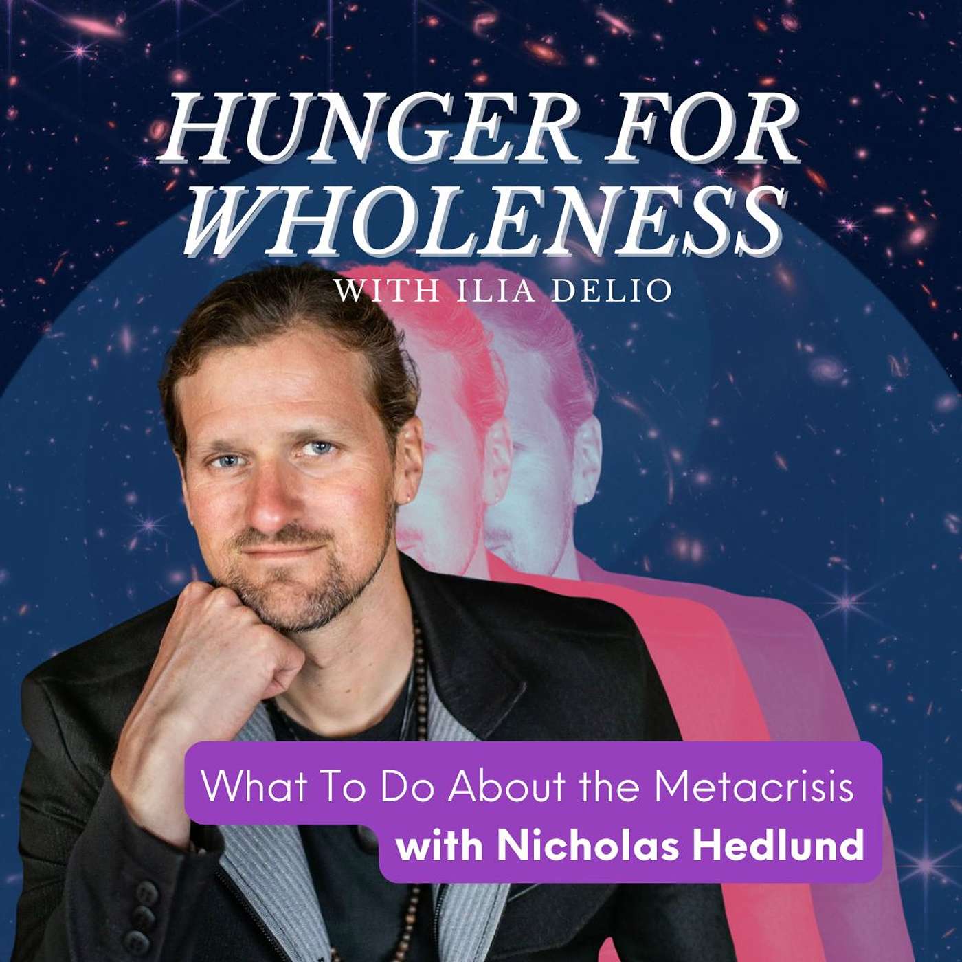 What To Do About the Metacrisis with Nicholas Hedlund