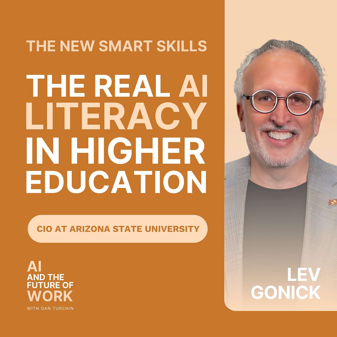 395: Lev Gonick, CIO at Arizona State University: Why Higher Education Must Disrupt Itself and the New Definition of AI Literacy episode artwork