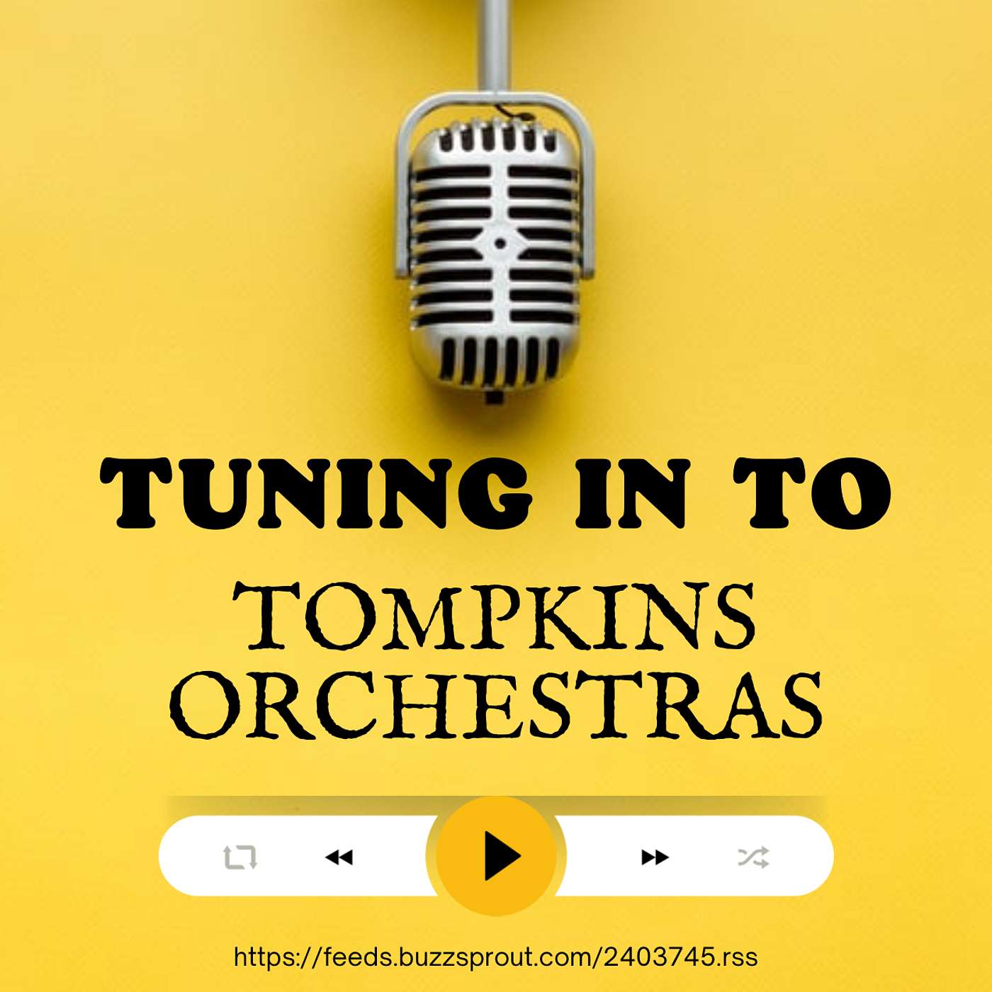 Tuning Into Tompkins Orchestras