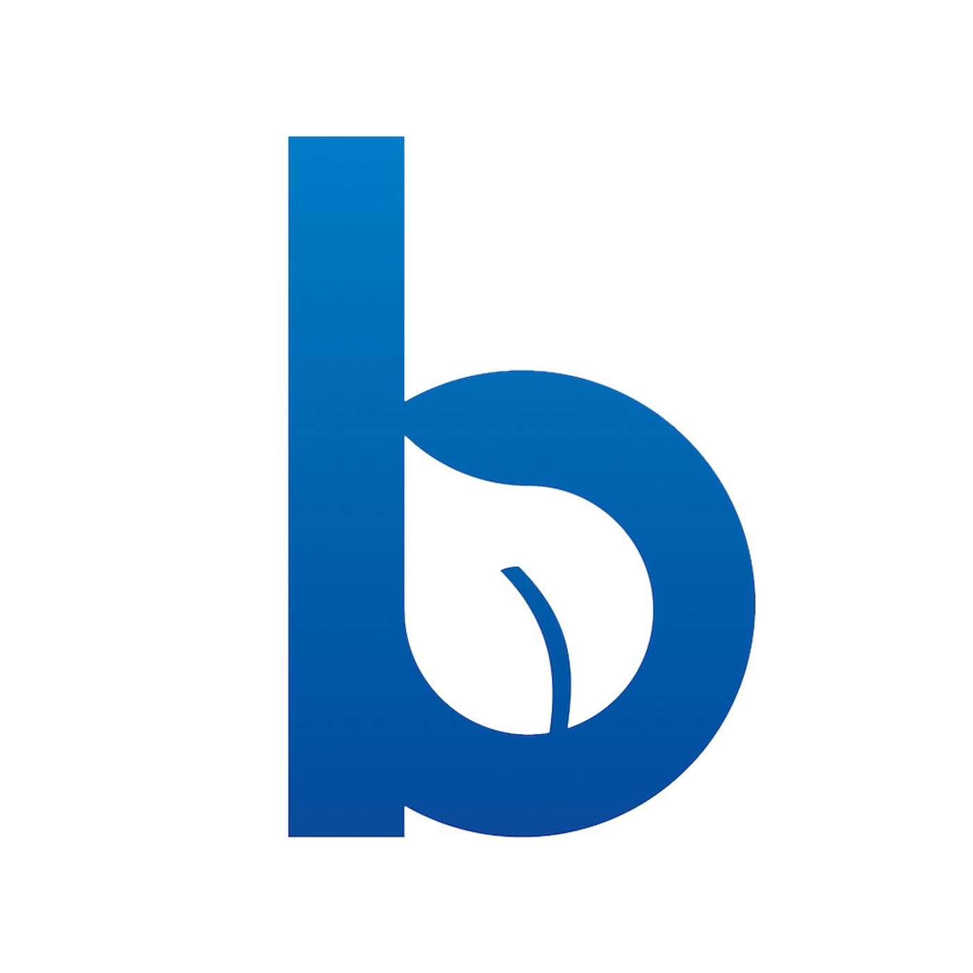 The Augmented Advisor