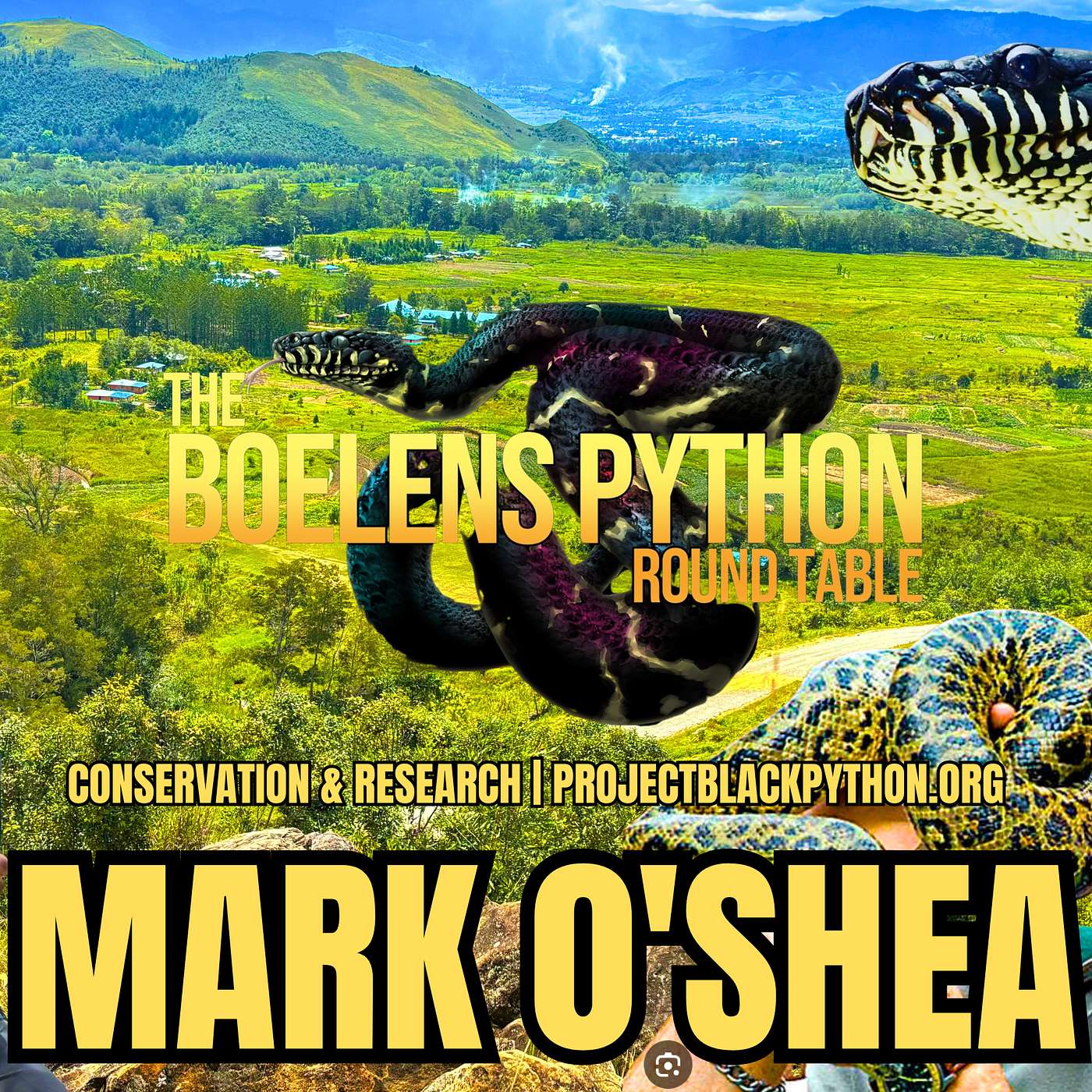 Episode 21: Professor Mark O’Shea MBE University of Wolverhampton, UK And New Guinea | BPRT episode artwork