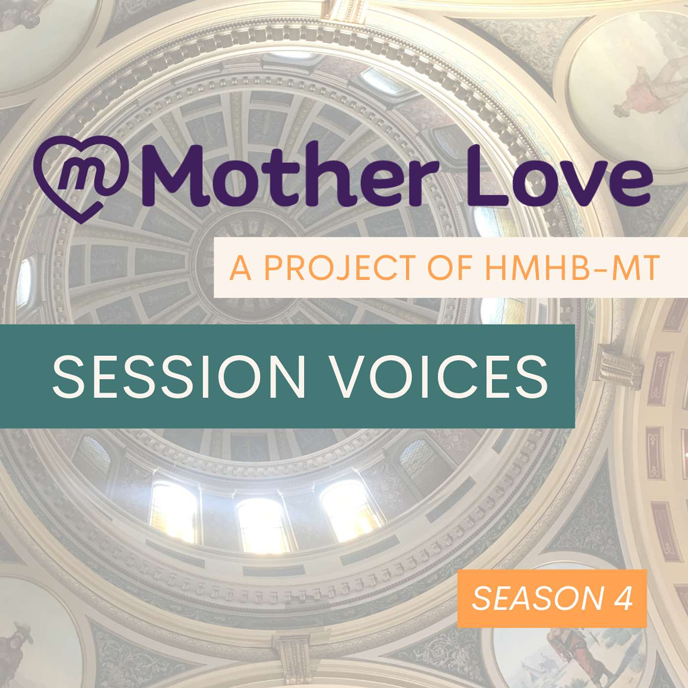 Session Voices: Mary Collins - Big Work at the Local Level