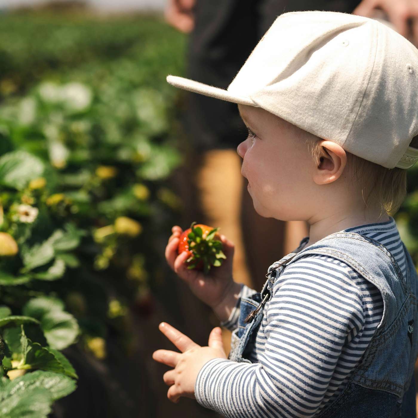 How to Build a Fruitful Household Team - Discipleship for Dads