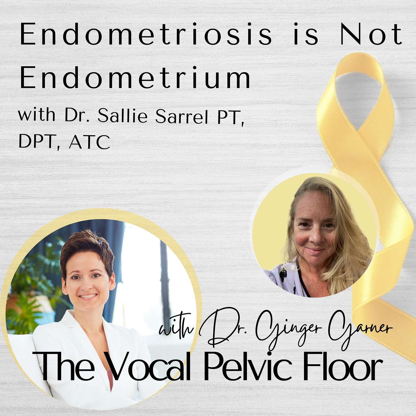 The Vocal Pelvic Floor with Dr. Ginger Garner