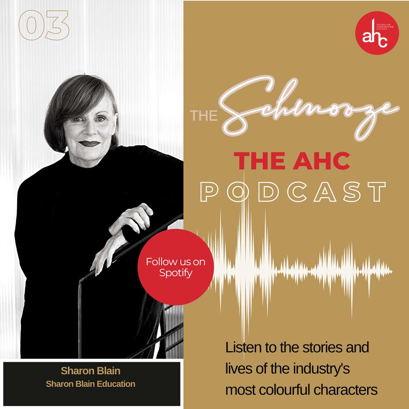 The Schmooze - Up close & personal with Sharon Blain The Schmooze - Up close & personal with Sharon Blain