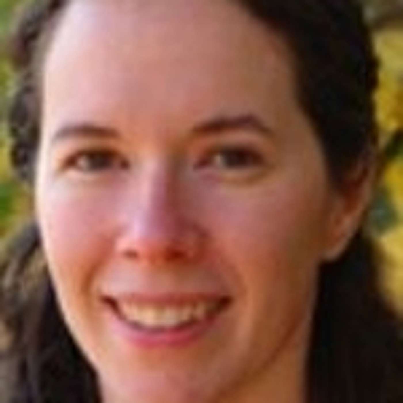 Cynthia Snyder Of Yonder Star Christmas Shop