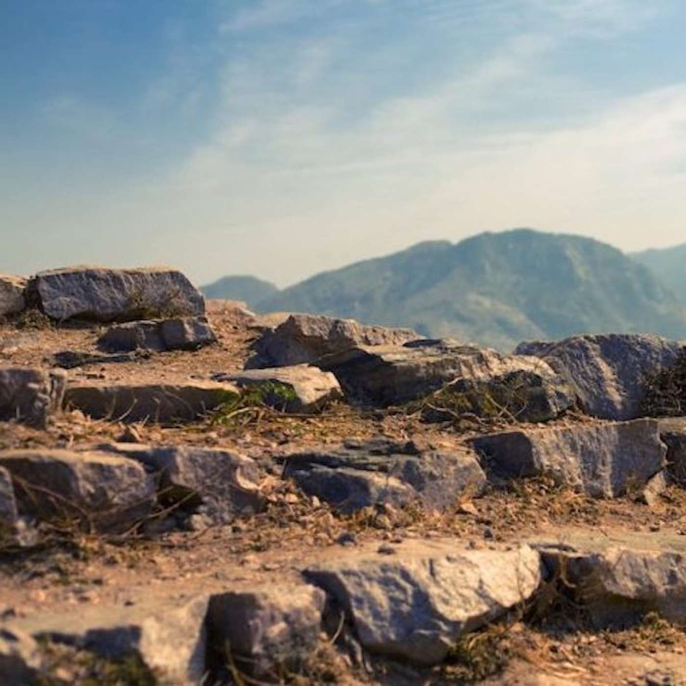 Does Your Organization Need a Better Technology Roadmap?