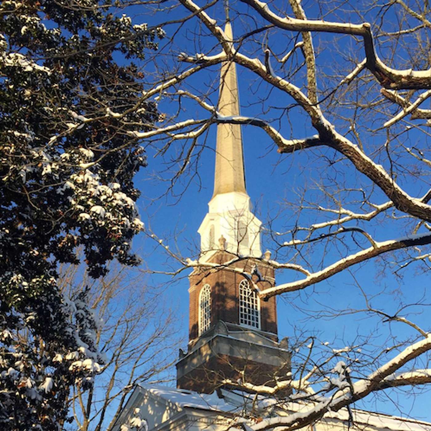 Westminster Talking the Text