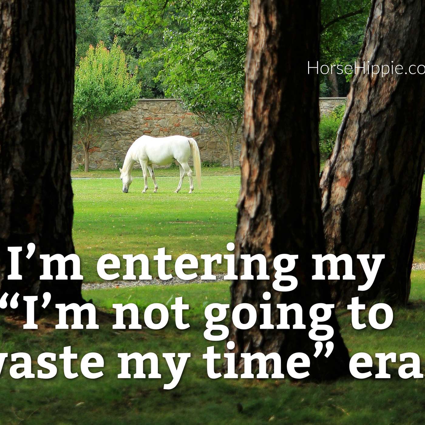 Not Wasting My Time Era