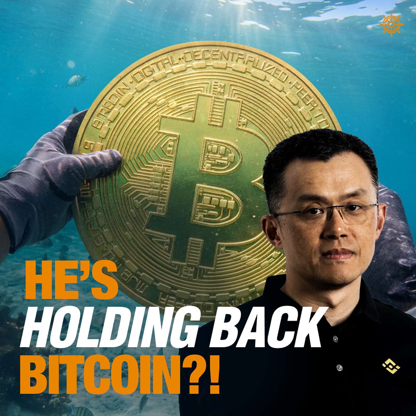 The REAL Reason Bitcoin is Down! | Bitcoin Banter