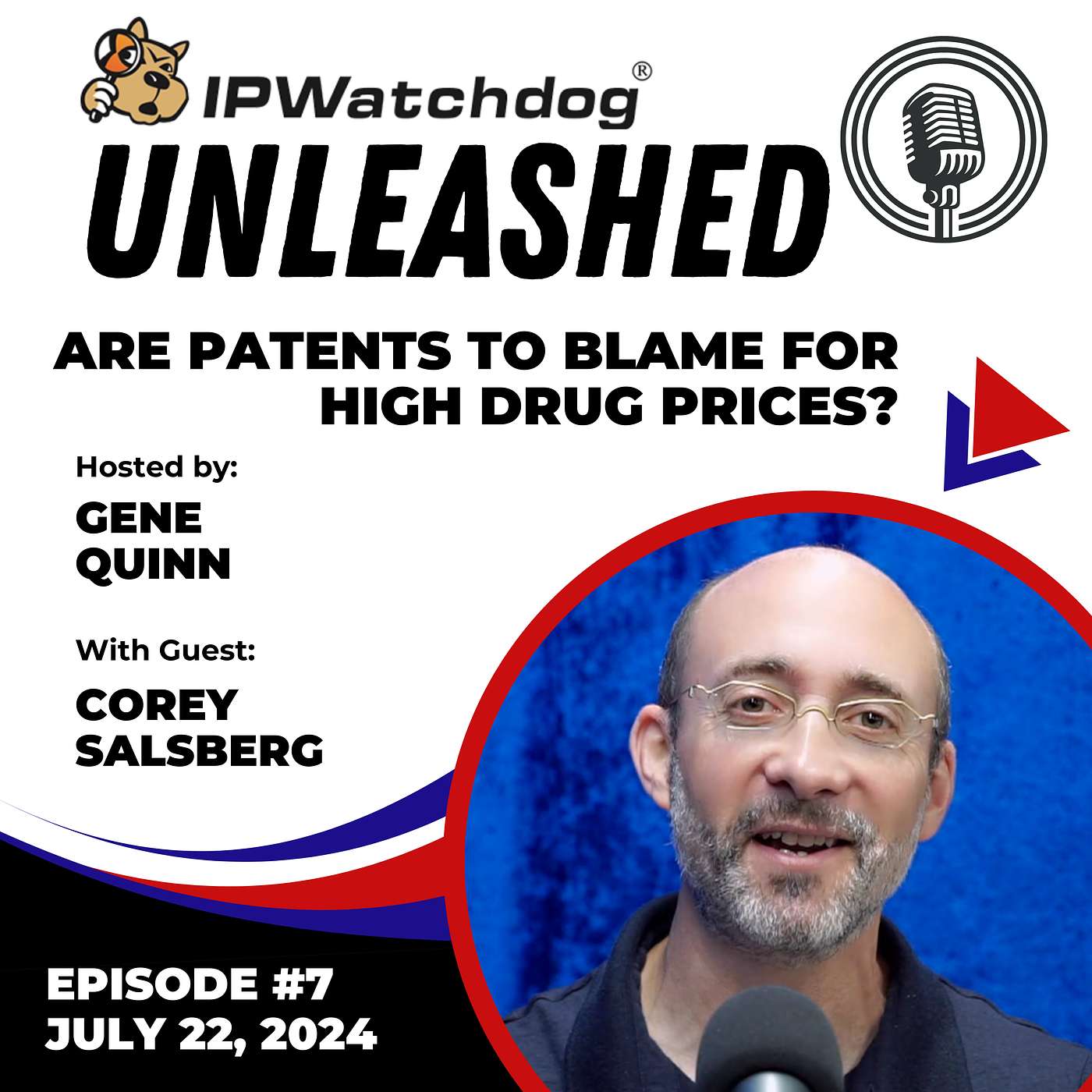 IPWatchdog Unleashed
