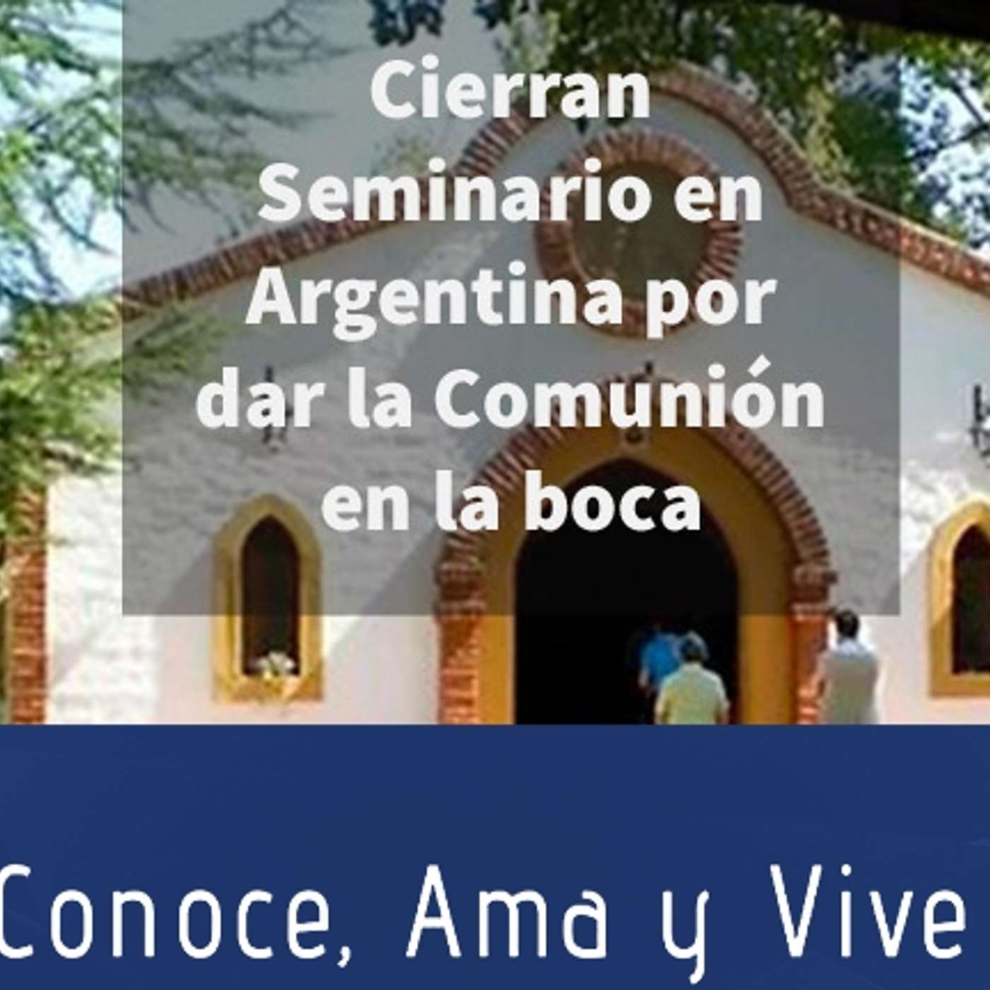 Episodio 311: 😪 Vaticano respalda Obispo🤫 Cierran seminario en Argentina 😲 Resistencia a la Comunión en la mano 👊 episode artwork