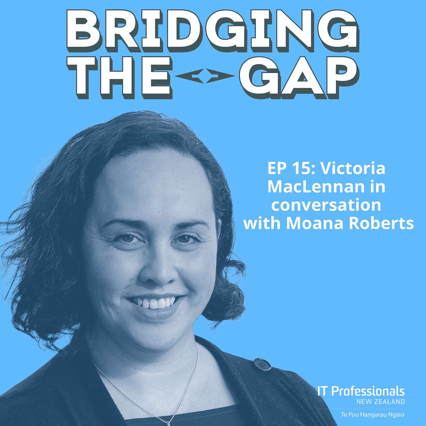 Bridging The Gap