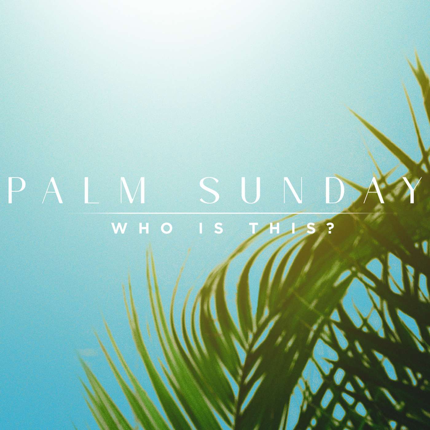 Who Is This? Jesus Our King