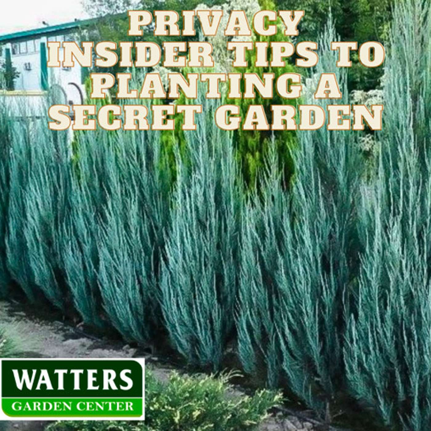 Privacy - Insider Tips to Planting a Secret Garden