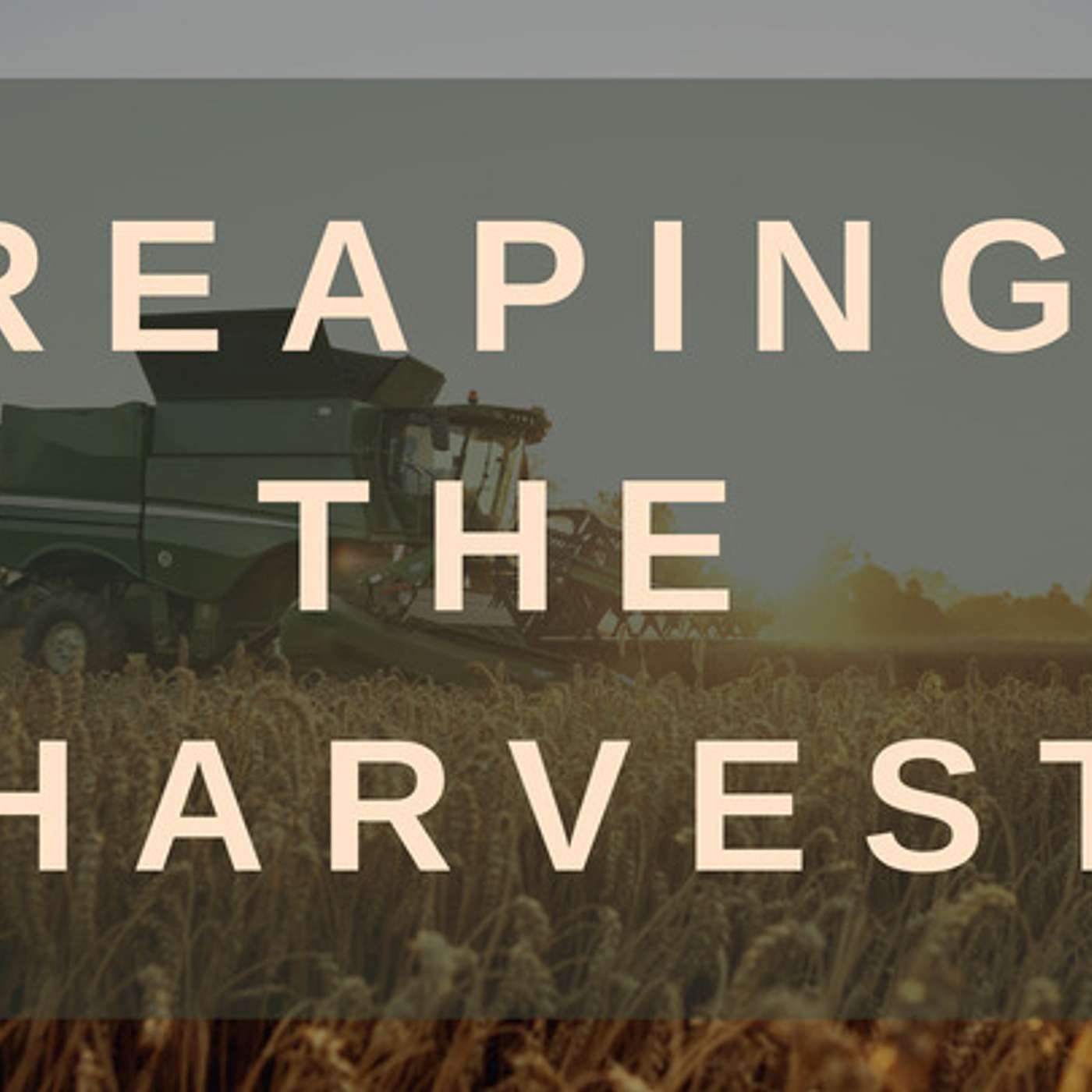 Reaping the Harvest | Part 1: The Law of Return episode artwork