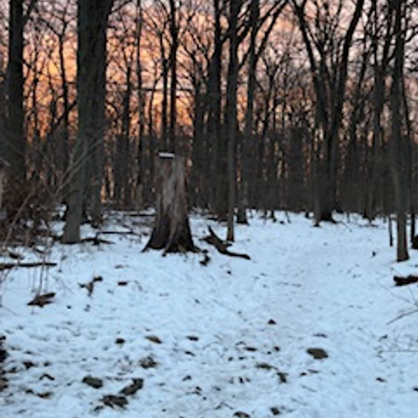 Embodied Wisdom: A Walk and a Talk with Dr. Brooke