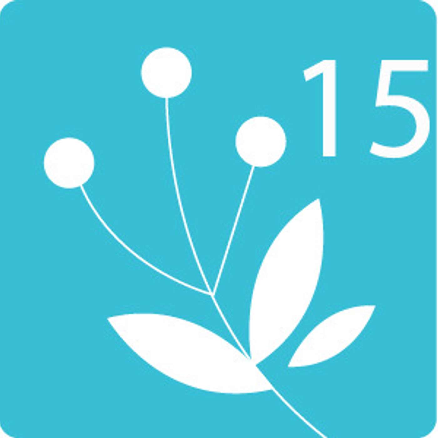 Viestinnän vierihoitajan jouluturinat #15