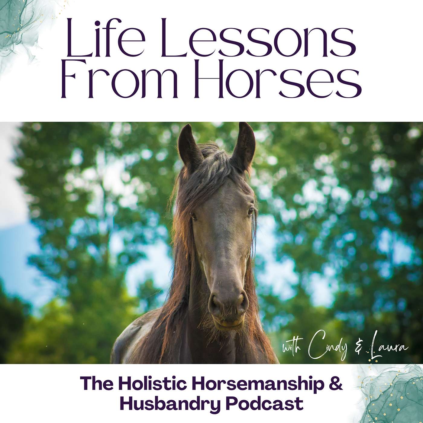 The Holistic Horsemanship and Husbandry Podcast