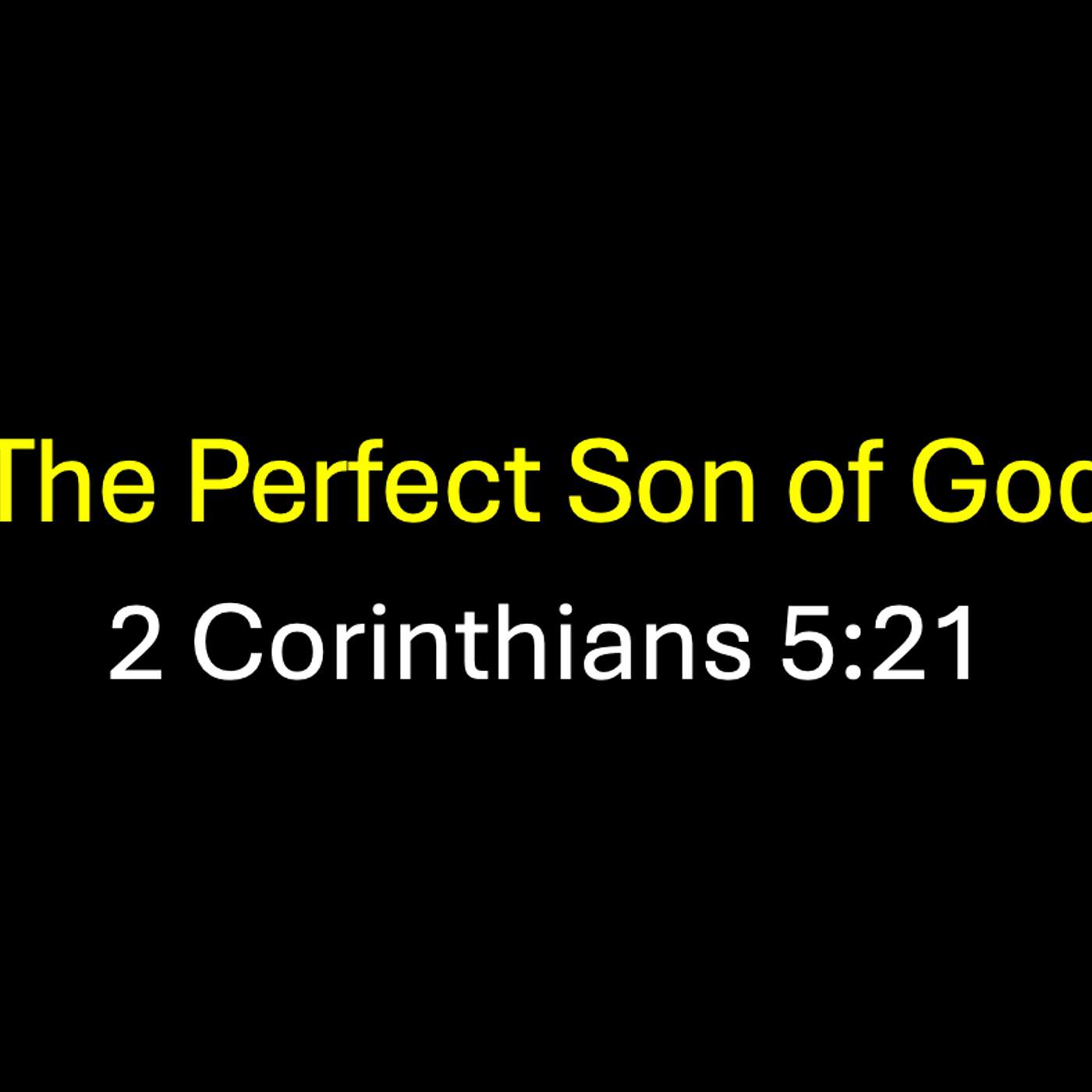 The Perfect Son of God episode artwork