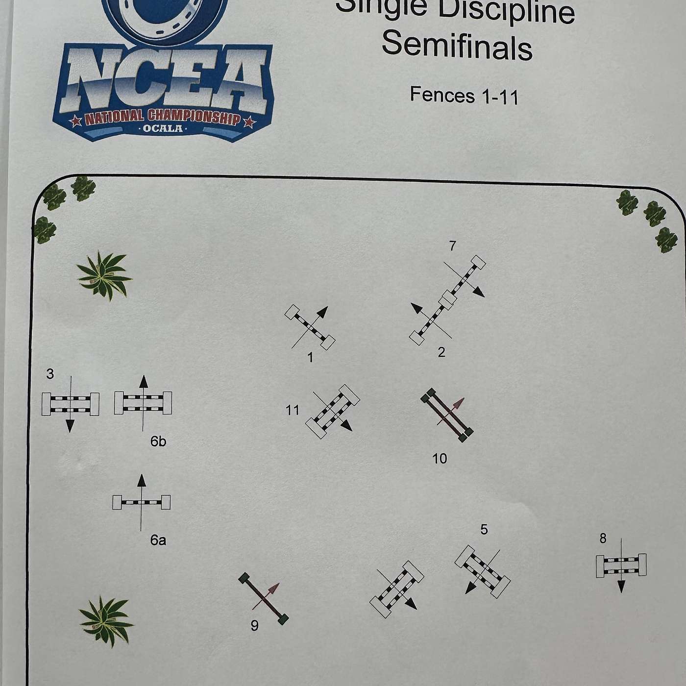 Episode 47: The UC Davis Shakeup--A Stark Warning for NCEA Equestrian Teams