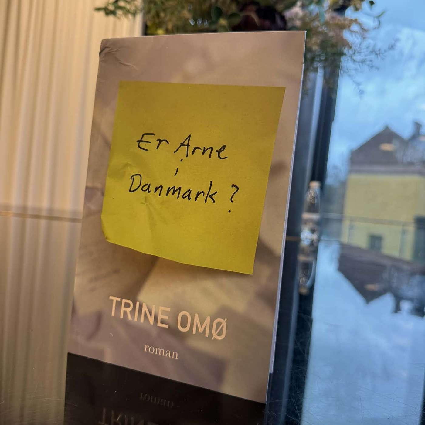 Episode 113 - Booktalk med Trine Omø Episode 113 - Booktalk med Trine Omø