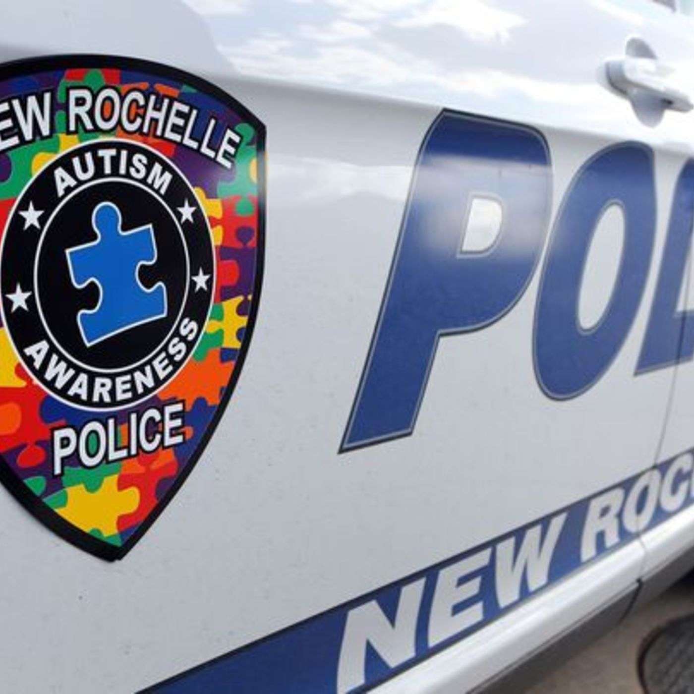 Crisis Intervention Team (CIT) Minute