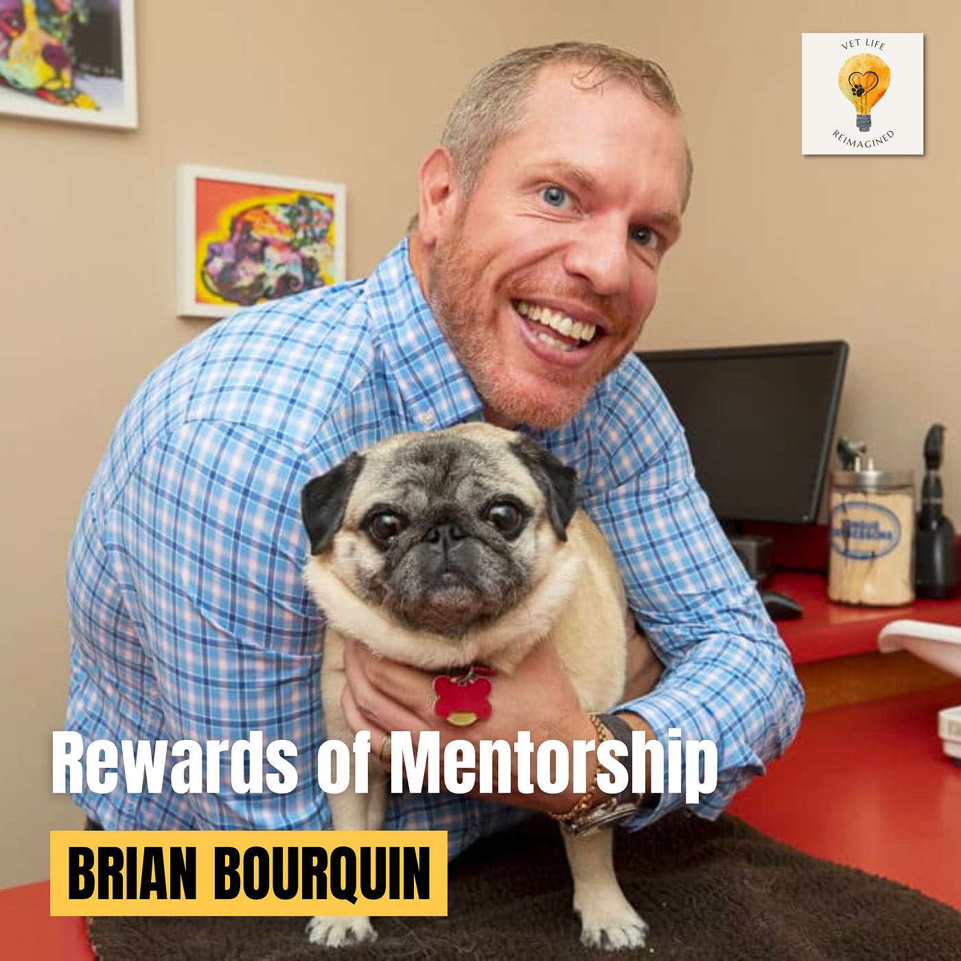 Power of Mentorship in Vet Med: Insights from NOMV President, Dr. Brian Bourquin episode artwork