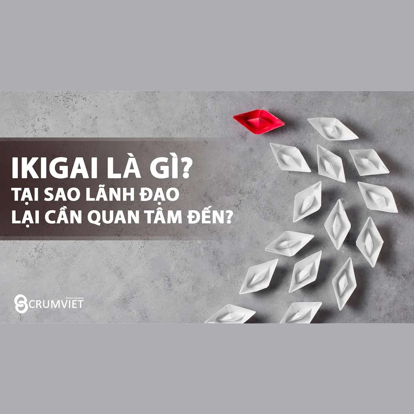 Ikigai là gì? Tại sao lãnh đạo lại cần quan tâm đến? episode artwork