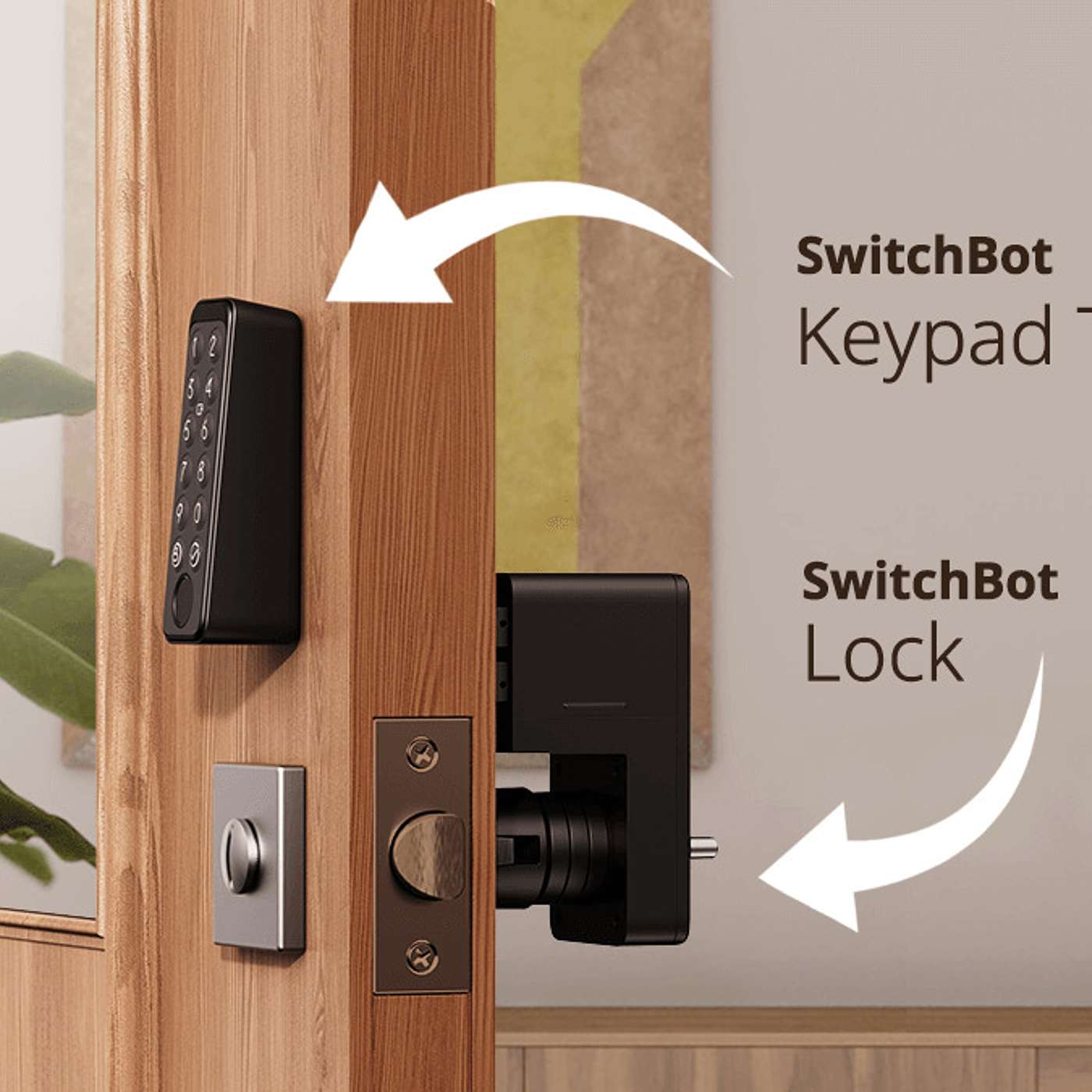 SwitchBot Lock, Keypad Touch… The most used smart lock product on the market? episode artwork