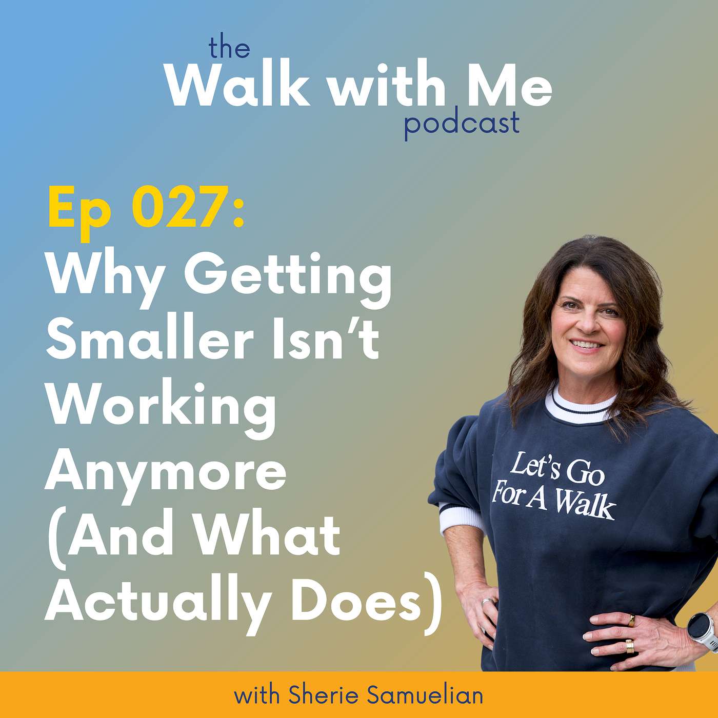 027: Why Getting Smaller Isn’t Working Anymore (And What Actually Does)