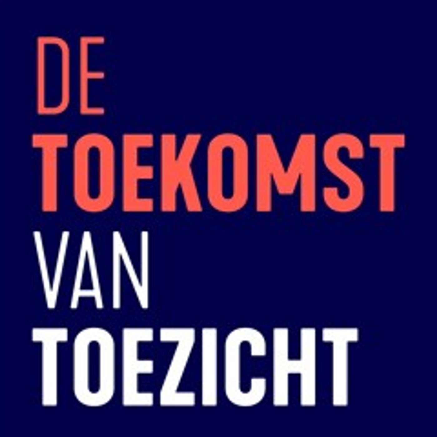 De Toekomst van Toezicht S4A1: Kijken vanuit het perspectief van de samenleving