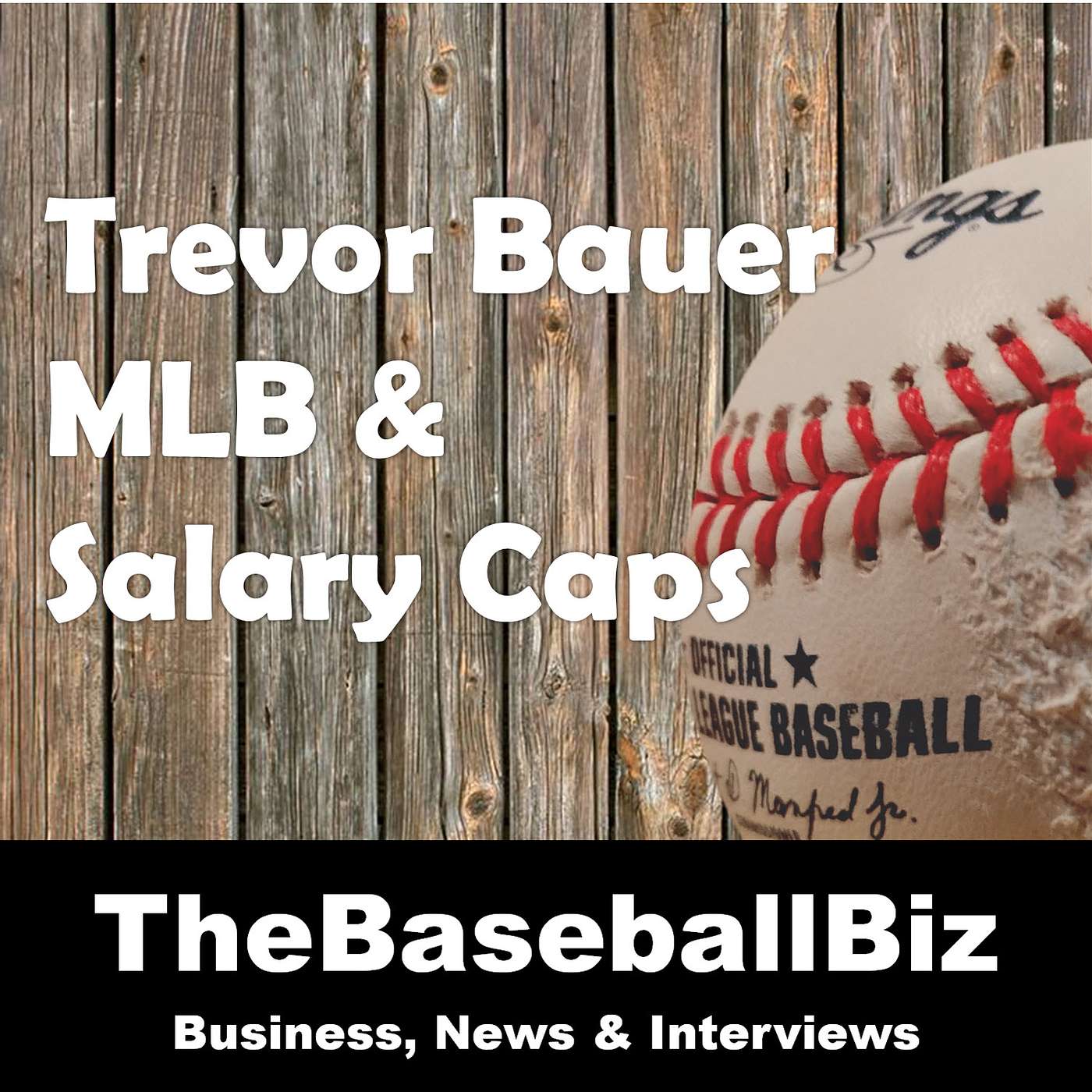 BaseballBiz On Deck