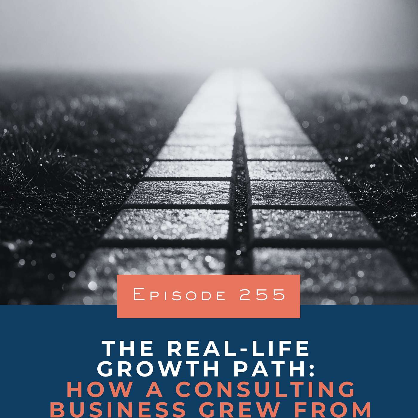 255. The Real-Life Growth Path: How a Consulting Business Grew from $258K to $514K 255. The Real-Life Growth Path: How a Consulting Business Grew from $258K to $514K