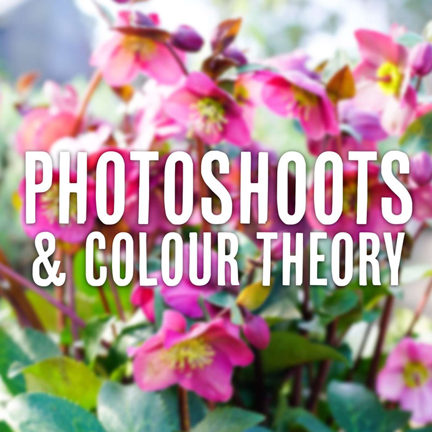 Plant Photoshoots - How to model plants