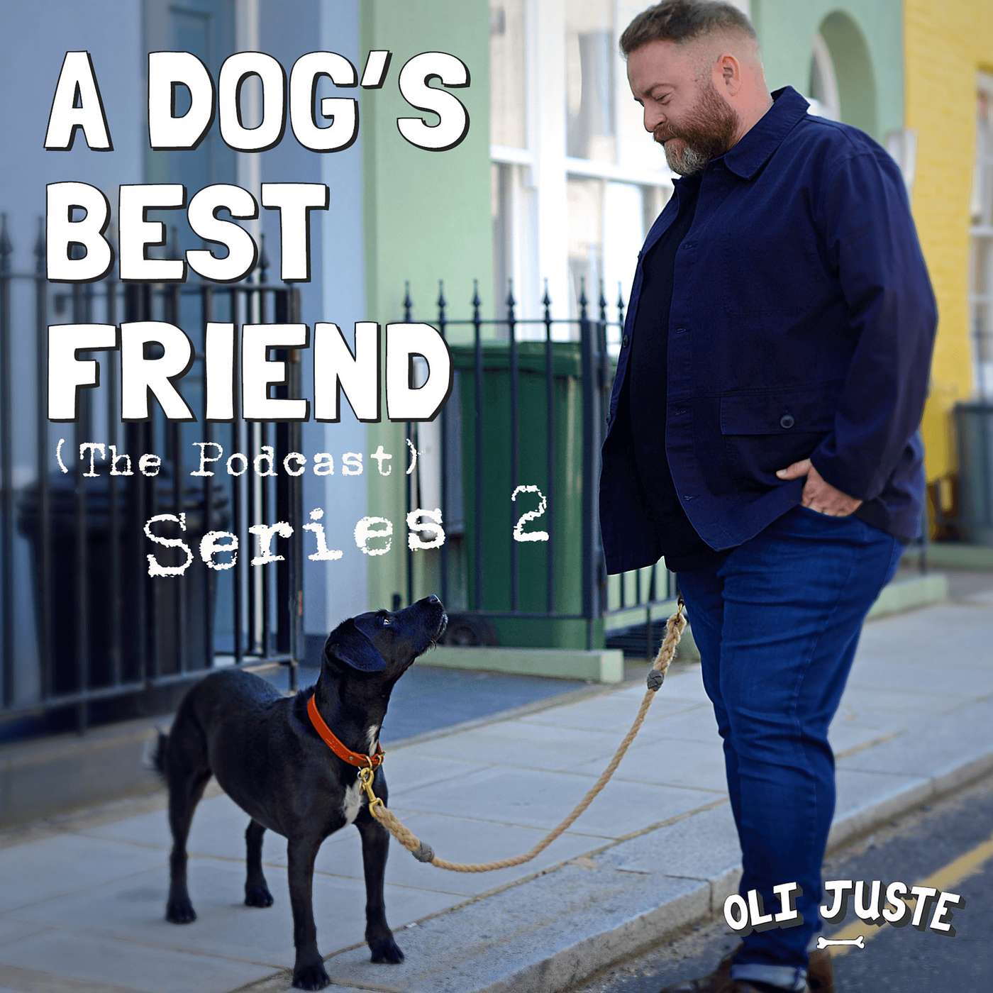 A Dog\'s Best Friend